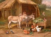 unknow artist Cocks and sheep128 china oil painting reproduction